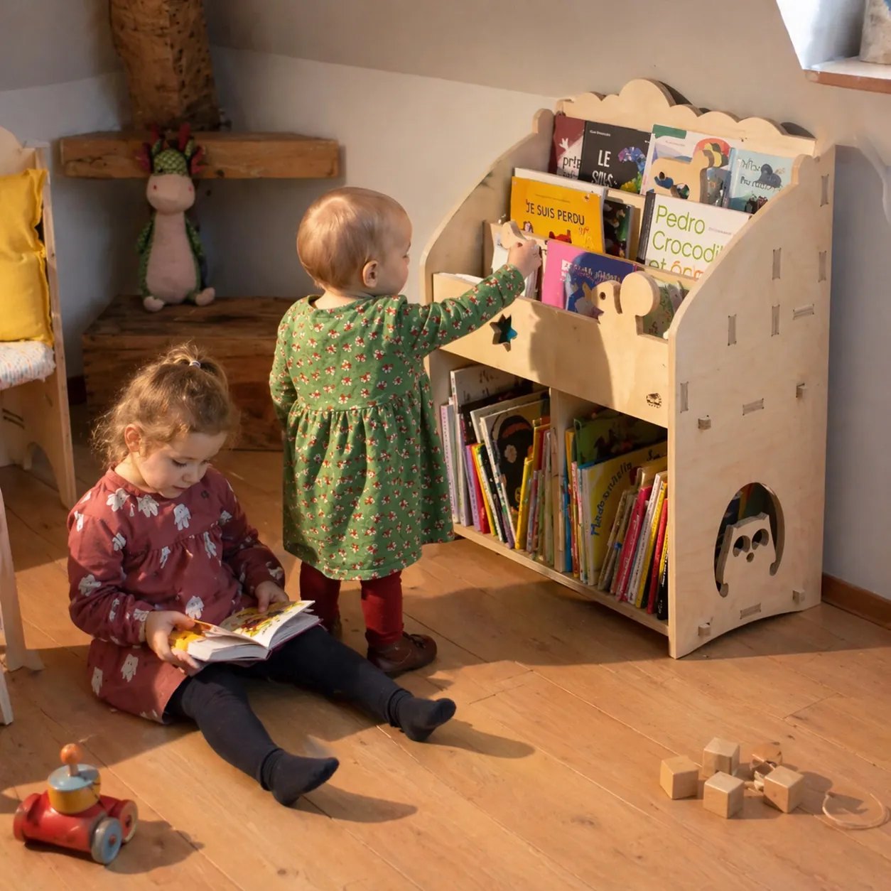 Rangements & bibliothèques